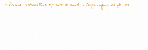 draw-the-structure-of-the-amino-acid-asparagine-at-ph-10-you-do-not-have-to-consider-stereochemistry-indicate-the-correct-charges-for-the-dominant-ionization-state-of-the-molecule-at-ph-10-33418