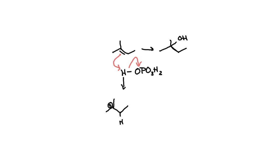 SOLVED: mechanism reaction for the synthesis of 2-methyl-2-butene from ...