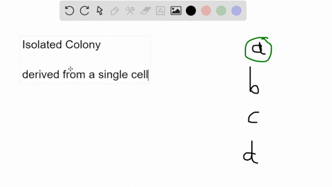 an-isolated-colony-is-formed-when-multiple-choice-a-single-cell-divides-many-times-to-a-mound-of-identical-cells-multiple-species-of-bacteria-grow-together-on-a-solid-medium-forming-a-mound-13134