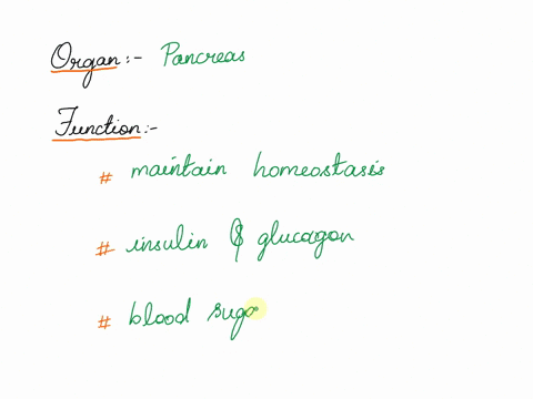the-liver-gallbladder-and-pancreas-produce-enzymes-and-hormones-to-help-break-down-food-for-example-the-liver-produces-bile-and-the-gallbladder-stores-this-bile-bile-helps-emulsify-fats-the-32941