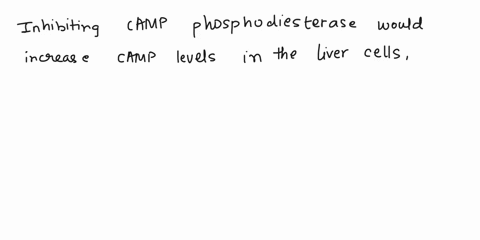 3_-what-effect-would-an-inhibitor-of-camp-phosphodiesterase-have-on-liver-cell-function-4-points-total-a-what-would-be-the-effect-on-glucose-mobilization-point-b-what-would-be-the-effect-on-86625