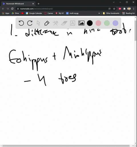 characteristics-eohippus-miohippus-pliohippus-equus-total-foot-length-heel-to-tip-of-toe-toes-toe-bones-m-foot-bones-b-ankle-bones-heel-bones-total-no-of-bones-describe-the-differences-in-th-58954