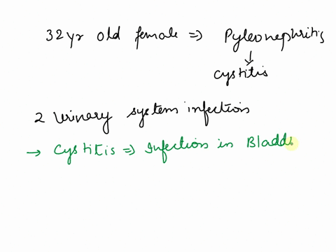a-32-year-old-female-is-seen-in-the-urologists-office-because-of-a-fever-chills-and-generalized-fatigue-she-also-reported-urgency-frequency-dysuria-and-hematuria-in-addition-she-noticed-that-55738