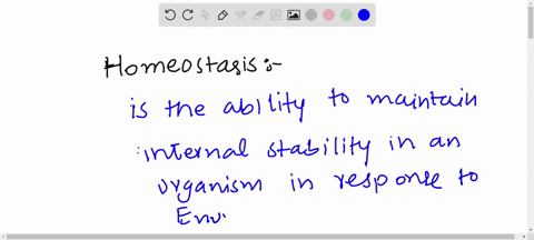provide-a-brief-definition-of-homeostasis-and-then-describe-an-example-of-homeostasis-88308