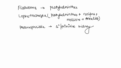 question-match-each-term-with-the-best-description-this-phylum-includes-the-flatworms-bilateria-this-clade-includes-platyhelminthes-rotiters-mollusks-jnd-annelids-lophotrochozoa-cephalopods-82274