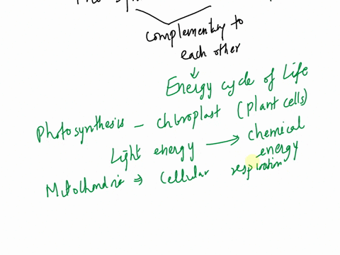 explain-how-cellular-respiration-is-the-opposite-reaction-to-photosynthesis-photosynthesis-cellular-respiration-07348