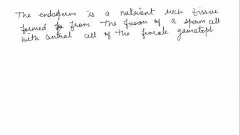 what-is-the-endosperm-from-which-cell-of-the-female-gametophyte-is-it-derived-compare-the-storage-si-07656