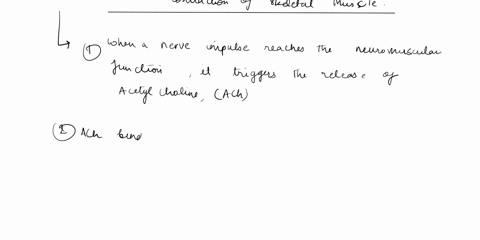 describe-the-sequence-of-events-involved-in-the-contraction-of-skeletal-muscle-fiber-including-events-at-the-neuromuscular-junction-excitation-contraction-coupling-and-cross-bridge-cyclingbe-98945