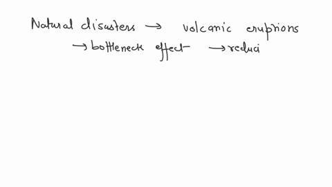 effects-of-genetic-drift-genetic-drift-is-the-change-in-allele-relative-frequencies-from-generation-t0-generation-as-result-of-chance-events-89-hurricanes_-disease-over-hunting-over-time-gon-16306