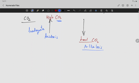 3-define-respiratory-acidosis-and-respiratory-alkalosis
