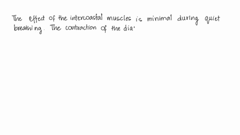 in-quiet-breathing-muscular-effort-is-used-mainly-in-inspiration-and-expiration-is-largely-passive-due-to-elastic-recoil-of-the-lung-it-results-in-a-pattern-change-between-expiratory-and-ins-73844