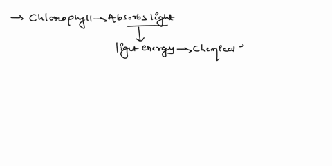 21-which-of-the-following-colors-of-the-spectrum-contributes-the-least-energy-from-chlorophyll-to-photosynthesis-a-blue-b-orange-c-green-d-red-e-yellowplease-explain-the-answer-74086