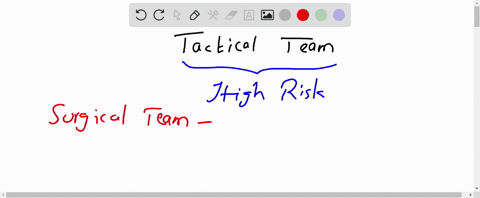 a-________-is-an-example-of-a-tactical-team-a-surgical-team-b-car-design-team-c-budget-committee-d-s-99204