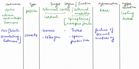 complete-the-table-complete-the-following-table-regarding-endocrine-gland-the-type-of-hormones-they-produce-the-hormones-target-organs-and-their-effects-on-the-organs-as-well-as-pathologies-16564