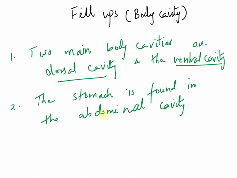 fill-in-the-blank-with-the-appropriate-body-cavity-1-the-two-main-body-cavities-are-the-and-the-cavity-cavities-2-the-stomach-is-found-in-the-3-the-heart-is-found-in-the-cavity-which-is-part-42483
