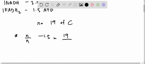 how-much-atp-is-produced-with-a-19-carbon-fatty-acid-please-show-your-work-for-this-and-use-25-atp-for-nadh-15-atp-for-fadh2-and-1-atp-for-gtp-when-calculating-04203