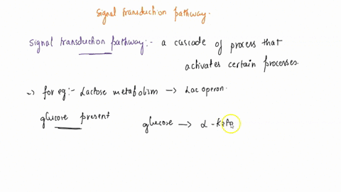 signal-transduction-pathways-begin-with-the-binding-of-a-molecule-to-its-receptor-and-frequently-although-not-always-end-with-the-binding-of-a-transcription-factor-to-dna-and-the-activation-77324