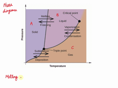 question-1-melting-point-is-the-same-as-on-a-phase-diagram-the-the-freezing-point-the-critical-point-the-triple-point-the-boiling-point-51607