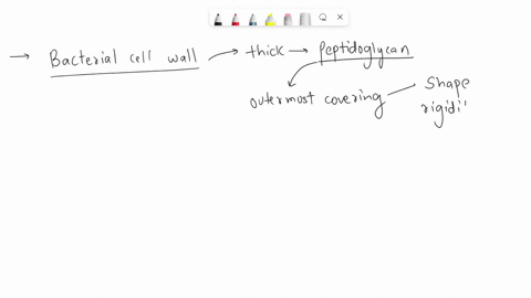 which-of-the-following-is-not-a-function-of-the-bacterial-cell-wall-a-provide-the-cell-with-shape-and-rigidity-b-prevent-the-cell-from-lysing-c-protect-the-cell-d-provide-the-cell-with-locom-23968