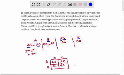 27-blood-groups-are-so-important-medically-that-you-should-be-able-to-solve-genetics-problems-based-on-blood-types-the-first-step-in-accomplishing-that-is-to-understand-the-genotypes-of-each-15222