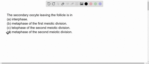 the-secondary-oocyte-leaving-the-follicle-is-in-a-interphase-b-metaphase-of-the-first-meiotic-division-c-telophase-of-the-second-meiotic-division-d-metaphase-of-the-second-meiotic-division-33236