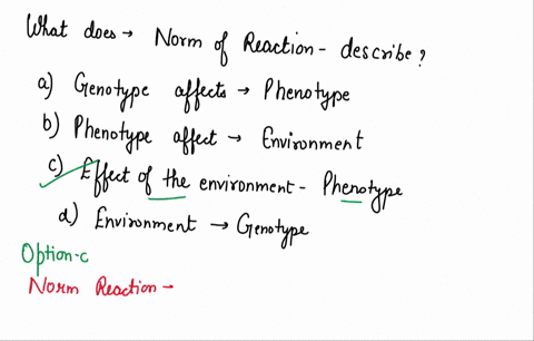 what-does-the-term-norm-of-reaction-describe-multple-choice-the-effect-of-the-genotype-on-the-phenotype-the-etfect-of-the-phenotype-on-the-environment-the-elfect-ol-the-environment-on-the-ph-37825