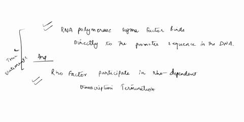 ich-of-the-following-isare-true-about-prokaryotic-transcription-rna-polymerase-sigma-factor-binds-directly-to-the-promoter-sequence-in-the-dna-the-5-methyguanosine-cap-is-the-first-part-of-t-64711