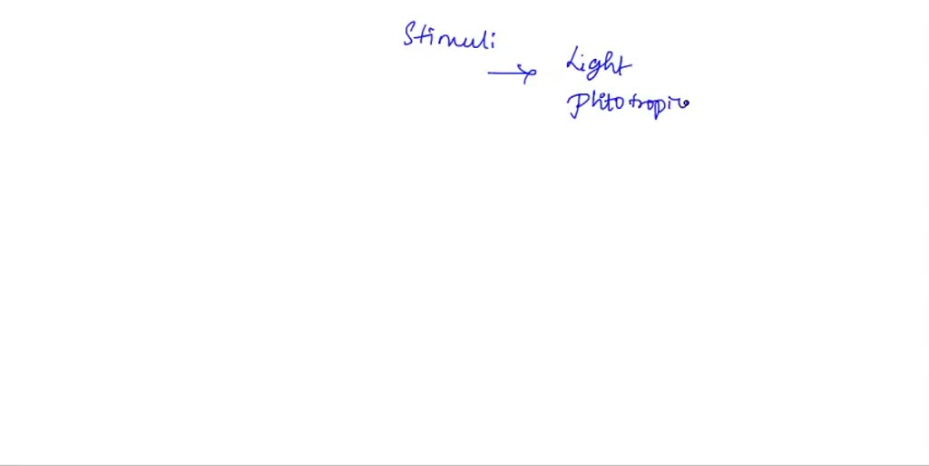 SOLVED • To what sorts of stimuli do plants respond and how do plants