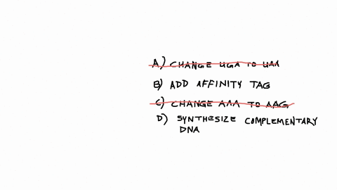 hello-tutor-i-need-help-with-this-particular-problem-please-thanks-researchers-have-found-a-human-proteinprotein-x-that-is-a-useful-therapeutic-for-certain-diseasesprotein-x-doesnt-have-any-86485