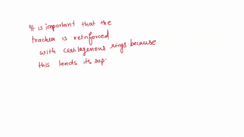 a-why-is-it-important-that-the-trachea-is-reinforced-with-cartilage-rings-b-why-is-it-advantageous-t-98878