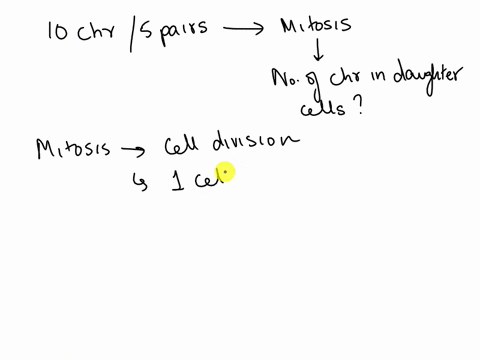 if-a-diploid-cell-that-has-a-total-of-10-chromosomes-5-pairs-were-to-undergo-mitosis-the-final-daughter-cells-that-result-would-be-diploid-and-each-have-_________-chromosomes