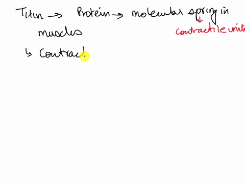 which-of-the-regions-of-a-sarcomere-contain-titin-the-i-band-only-the-zone-of-overlap-only-the-a-band-only-from-m-line-to-z-disc-the-h-zone-only-03655
