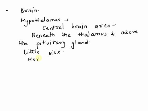 help-look-at-image-to-answer1-what-are-the-responsibilities-of-the-region-of-the-brain-highlighted-below-controlling-voluntary-body-movements-processing-information-from-sense-organs-thought-27707