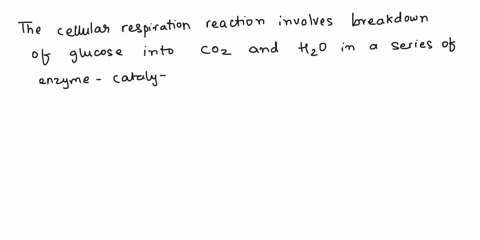 the-cellular-respiration-reaction-csh206-02-6-coz-6-hzo-is-1-anabolic-and-exergonic-2-anabolic-and-endergonic-catabolic-and-exergonic-catabolic-and-endergonic-84314