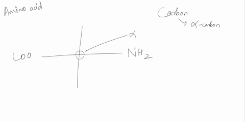 8a-the-monomers-of-proteins-are-amino-acids-sketch-an-amino-acid-here-label-the-alpha-or-central-carbon-amino-group-carboxyl-group-and-r-group-b-what-is-represented-by-r-how-many-are-there-98847