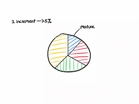 following-is-pie-chart-that-presents-the-percentages-of-video-games-sold-in-each-of-four-rating-categories-vidco-game-ratings-maturc-m-126-mature-m-tccn-ov-21-4-excryone-i0-eio-26-1-evelyone-55763