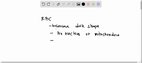 all-are-characteristics-erythrocytes-red-blood-cells-except-inlegral-inllammatory-arkl-imnmunu-oeporisee-nlgh-gurtaco-aroa-vclumodlla-duo-biconcavo-ulk-ahapa-lacking-nclets-mitochondn-involv-65944