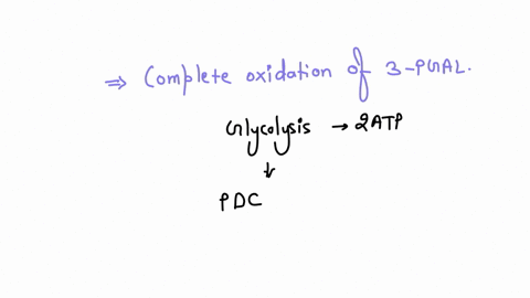 how-many-atp-molecules-will-be-formed-from-complete-oxidation-of-two-molecules-of-3-pgal-in-an-eukaryotic-cell-a-34-b-40-c-36-d-42-22988