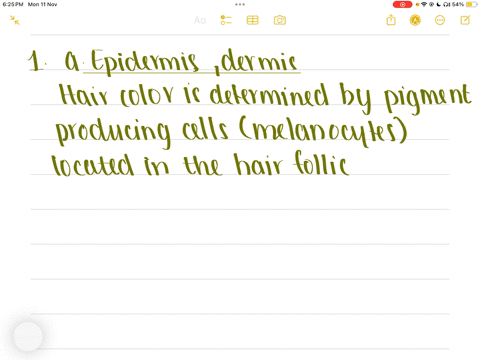 1-the-color-pigment-of-hair-comes-from-follicle-come-from-blood-veasels-of-the-qquad-a-opidermis-dermis-cellis-and-the-nutrients-that-nourish-the-hair-layer-b-dermis-hypodermis-c-epidermis-hypodermis