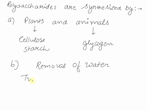 polysaccharides-are-synthesized-by-a-plants-and-animals-b-removal-of-water-dehydration-synthesis-c-connecting-glucose-molecules-together-d-formation-of-specific-glycosidic-bonds-between-mono-68464