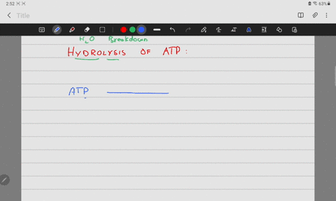 the-reaction-below-is-atpase-atp-adp-energy-the-rephosphorvlation-of-atp-from-adp-the-hydrolysis-of-atp-from-adp-an-endergonic-reaction-the-hydrolysis-of-atp-28825