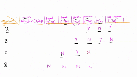conclusion-what-are-the-different-types-of-root-system-complete-the-table-below-to-compare-roots-of-monocots-from-roots-of-dicots-criteria-monocot-dicot-arrangement-of-vascular-bundles-wedge-46133
