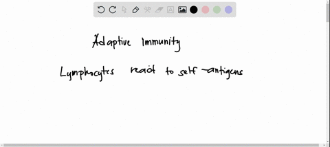 the-adaptive-immune-system-can-differentiate-own-and-foreign-antigens-because-lymphocytes-react-to-self-antigens-which-do-not-generate-an-immune-response-ail-lymphocytes-have-no-capacity-to-52063