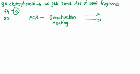 54-iftwo-dna-samples-showed-an-identical-pattern-and-thickness-of-dna-produced-by-gel-electrophoresis-the-samples-contained-the-same-amount-of-dna-fragments-of-the-same-size-the-same-dna-mol-41552
