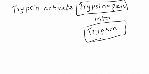 trypsin-activates-_____into-____-multiple-choice-amylase-pepsin-no-choice-is-correct-enterokinase-lipase-carboxypeptidase-procarboxypeptidase-trsypsinogen-pepsin-67686