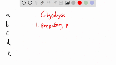 what-is-the-net-yield-of-atp-during-glycolysis-0-38-0-36-0-2-0134-ha-12362