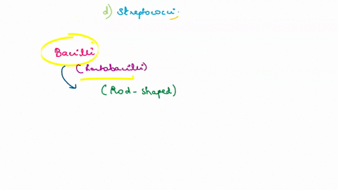 all-of-the-following-are-associated-with-morphological-characteristics-of-bacteria-except-a-bacilli-b-chlamydia-c-staphylococci-d-streptococci-26179