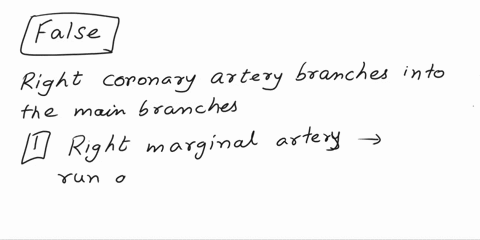 question8-the-2-branches-of-the-right-coronary-artery-are-the-circumflex-artery-and-the-right-marginal-artery-true-false-question9-which-of-the-following-statements-accurately-defines-pariet-14804