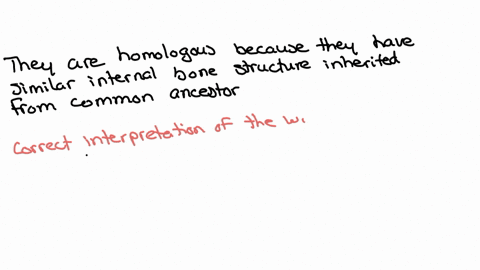 which-of-the-following-is-a-correct-interpretation-of-the-wings-of-bats-and-the-wings-of-birds-they-are-homologous-because-the-common-ancestor-of-bats-and-birds-had-wings-they-are-not-homologous-becau