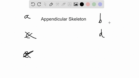 which-of-the-following-is-not-part-of-the-appendicular-skeleton-a-clavicle-b-scapula-c-fibula-d-ribs-e-patella-the-bone-of-the-upper-arm-is-connected-to-the-bones-of-the-lower-arm-by-tendons-lordosis-